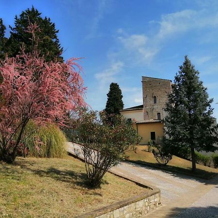 Villa Casa Per Ferie Ulivo D'Assisi Exterior foto