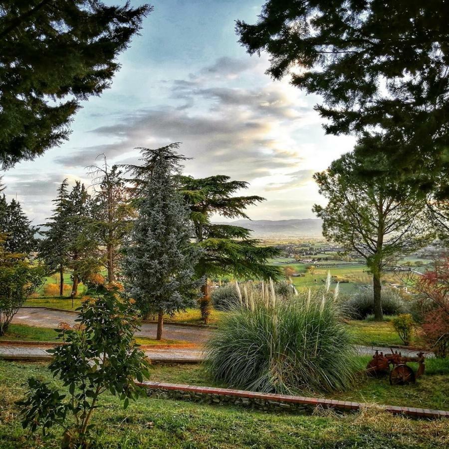 Villa Casa Per Ferie Ulivo D'Assisi Exterior foto
