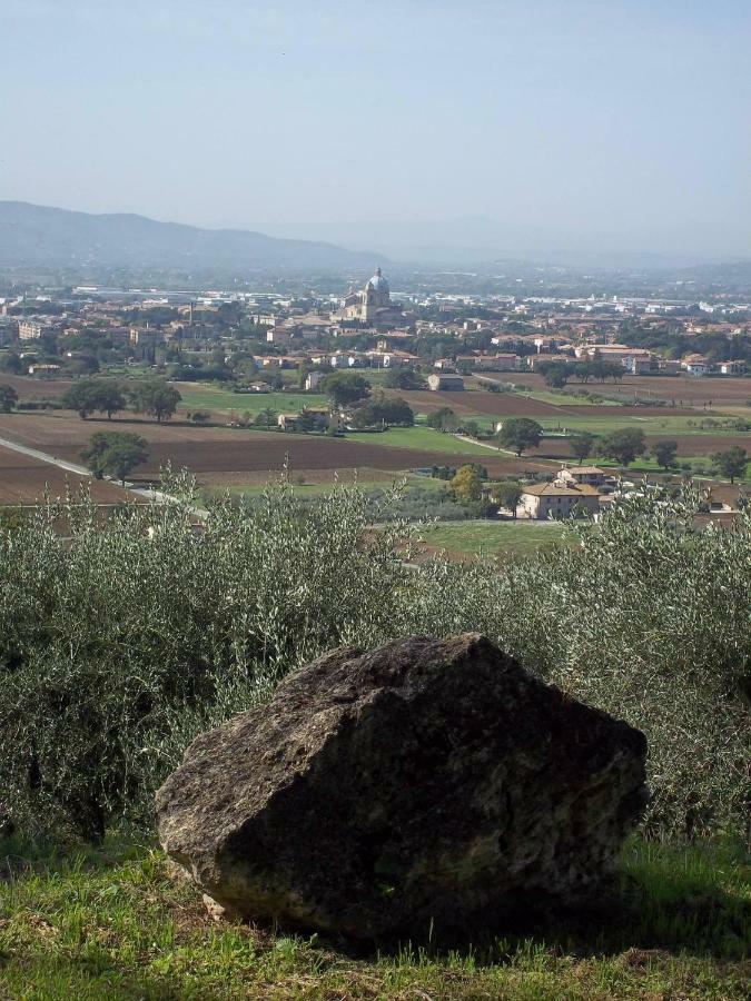 Villa Casa Per Ferie Ulivo D'Assisi Exterior foto