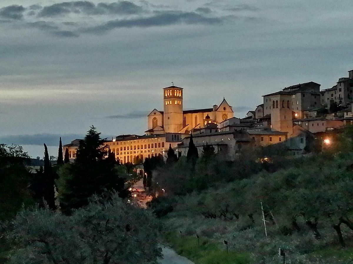 Villa Casa Per Ferie Ulivo D'Assisi Exterior foto